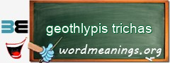 WordMeaning blackboard for geothlypis trichas